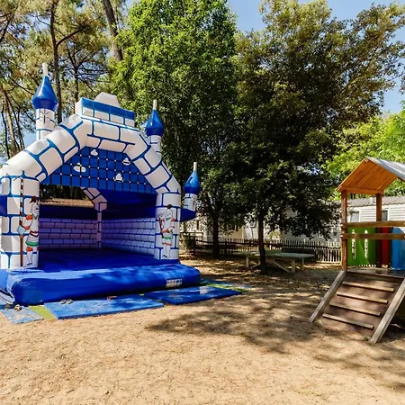 Flower Au Bois Des Biches