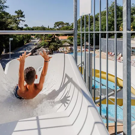 Flower Au Bois Des Biches Saint-Hilaire-de-Riez