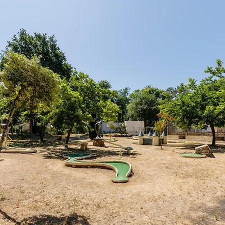 Flower Au Bois Des Biches Saint-Hilaire-de-Riez