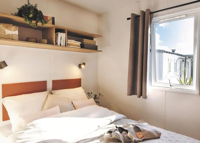 Flower Au Bois Des Biches Κάμπινγκ Saint-Hilaire-de-Riez