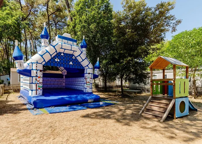 Flower Au Bois Des Biches