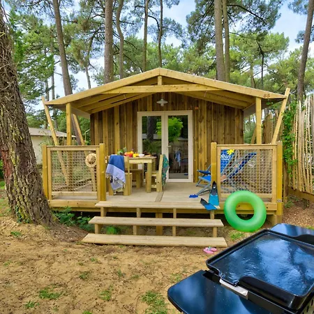 Campsite Flower Les Biches